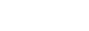 Global VIZA.OOO